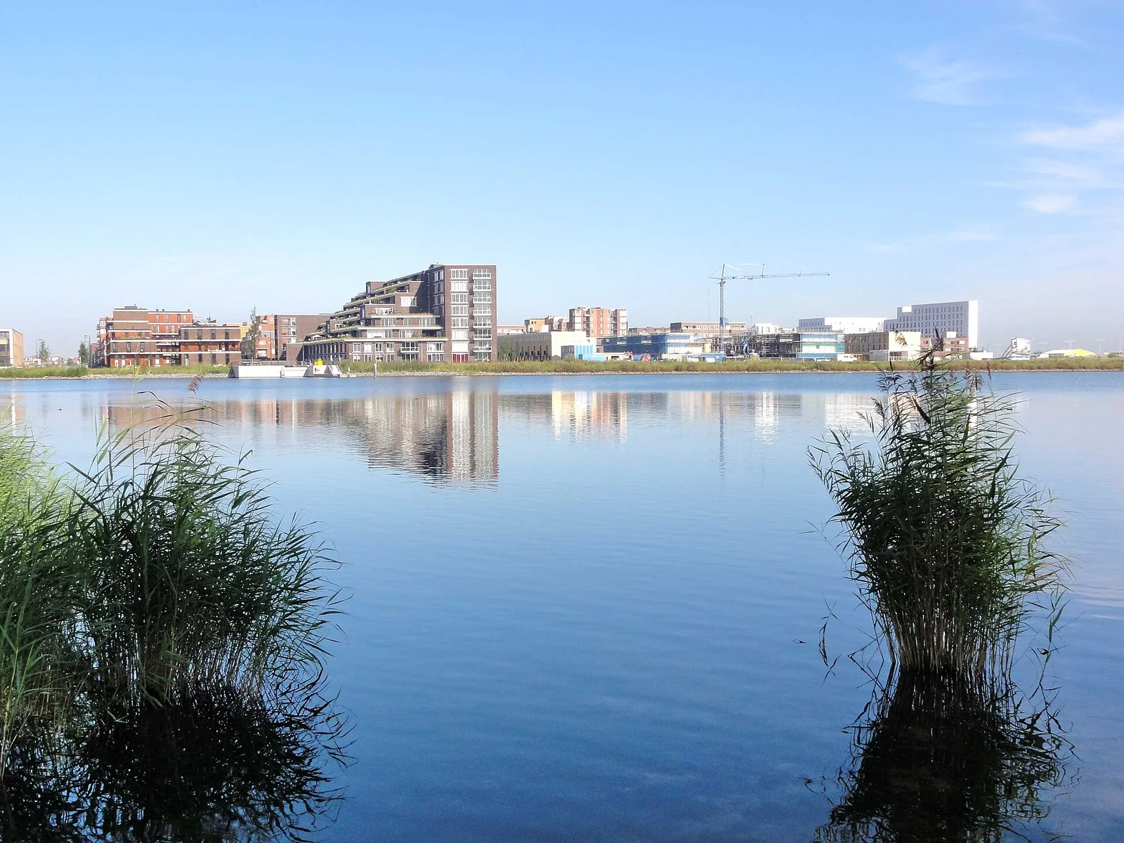 Nieuwbouwappartementen en een bouwkraan aan de overkant van stil water met riet op de voorgrond